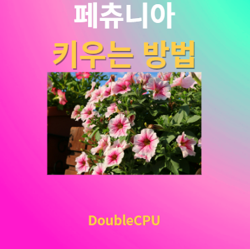 페츄니아 키우기 물주기