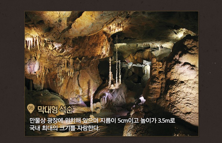 대금굴 예약방법