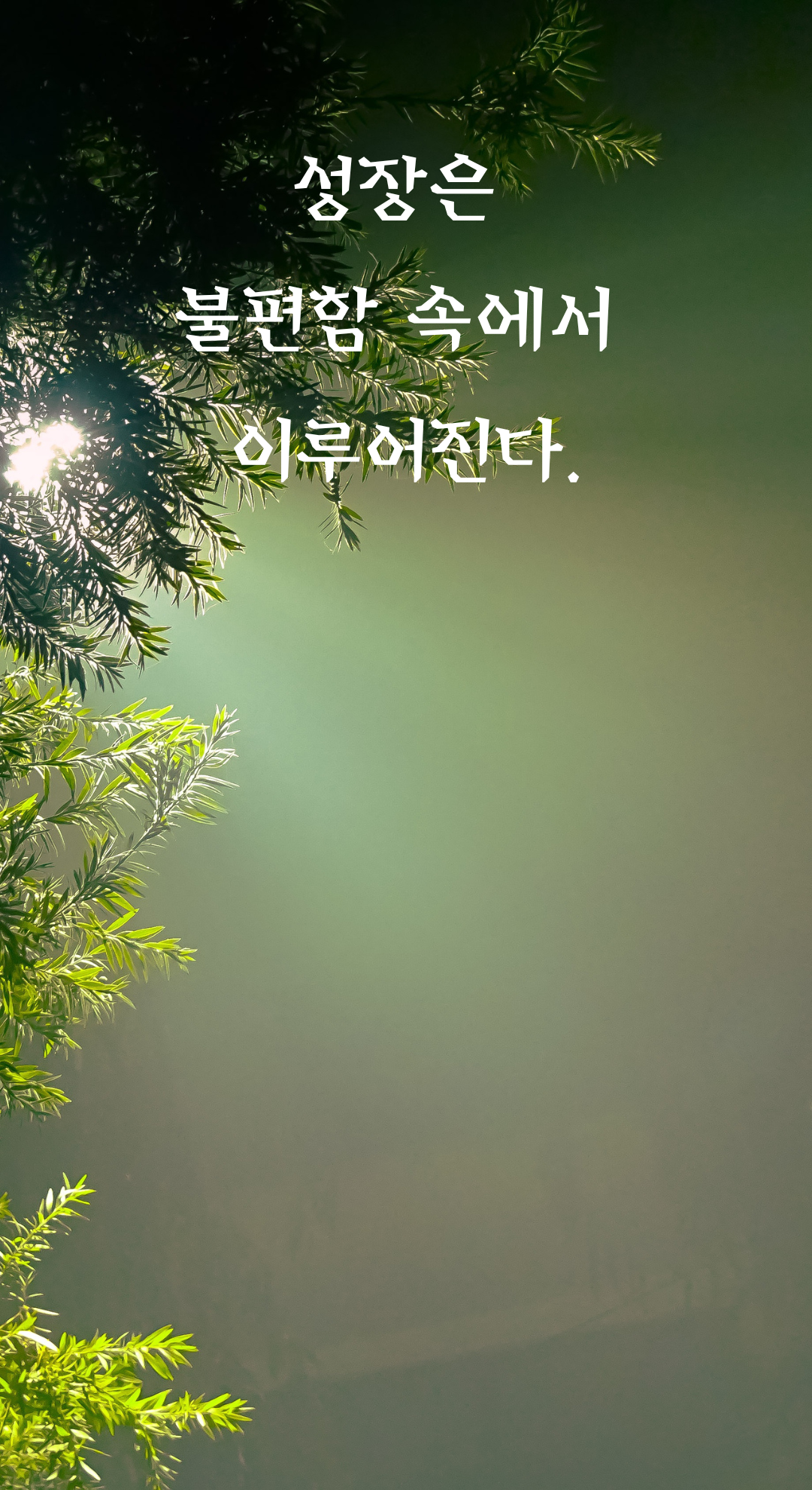 성공 글귀 짧고 좋은 글 명언 문구 배경화면 모음 이미지 사진 글