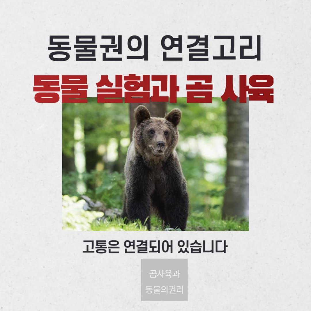 동물 실험과 곰 사육, 동물권의 연결고리