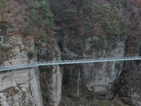 철원 한탄강 은하수교 횃불전망대 입장료