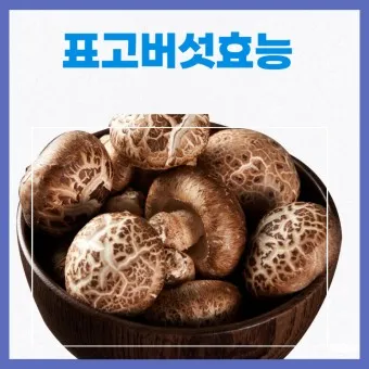 표고버섯 효능_20