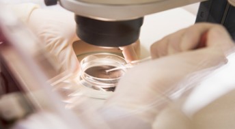 카나리아바이오 하한가 루머