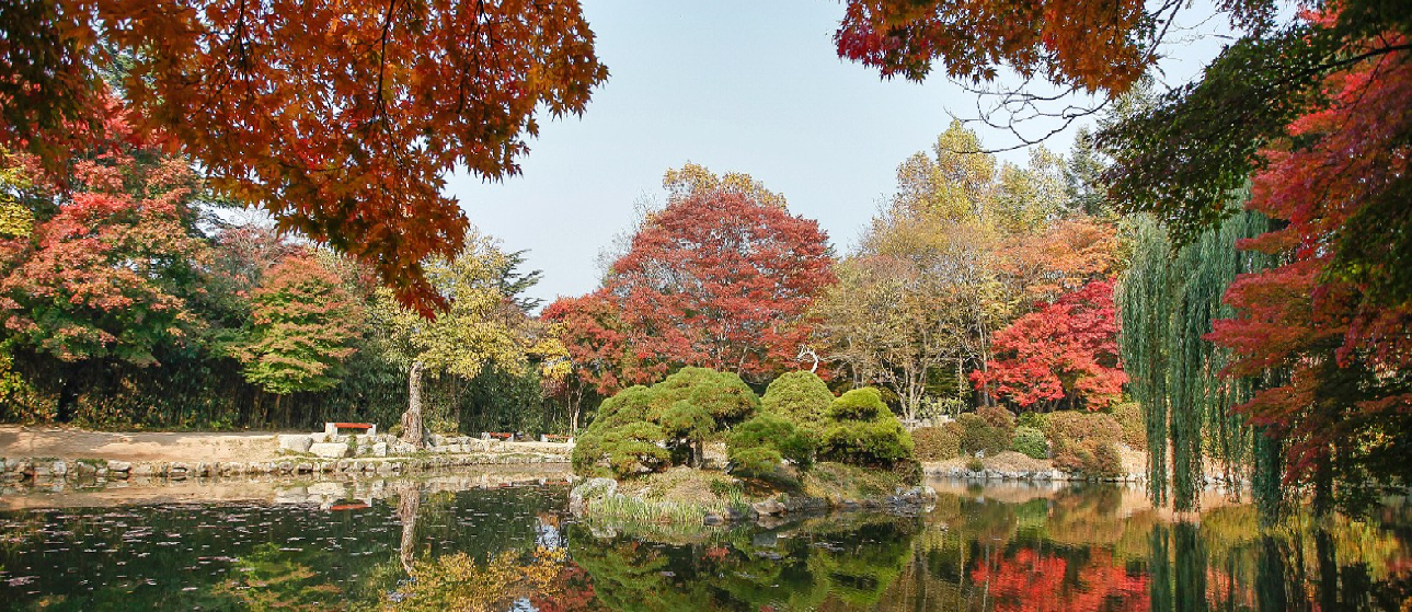 1박 2일 단풍 여행 BEST 5 -설악산,오대산, 불국사, 남이섬, 내장산