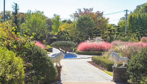 고양 플랜테이션