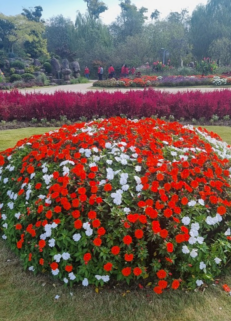 2025 순천만 국가정원 순천여행 맛집 현지인 추천 맛집 순천만 숙박