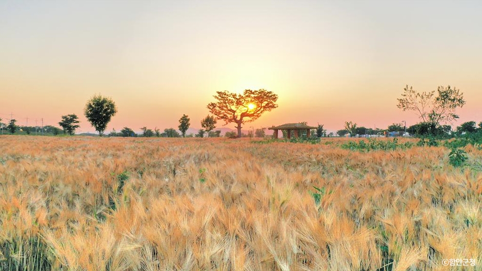 함안 가볼만한곳 베스트10