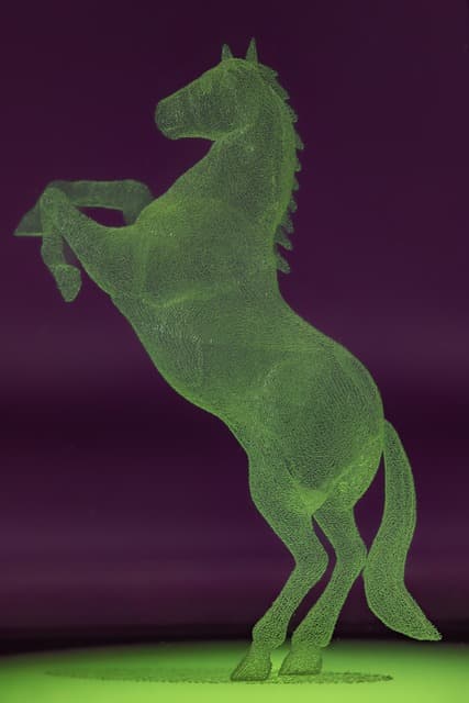 홀로그램 아티스트(Hologram Artist) &ndash; 빛으로 창조하는 미래의 예술가