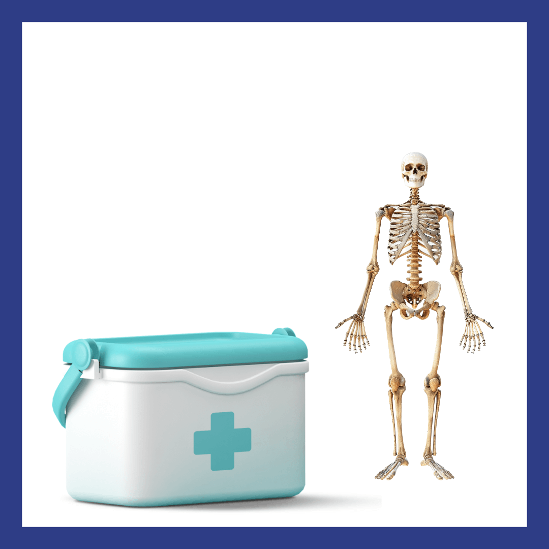 8체질 자가진단 테스트 바로 해보기