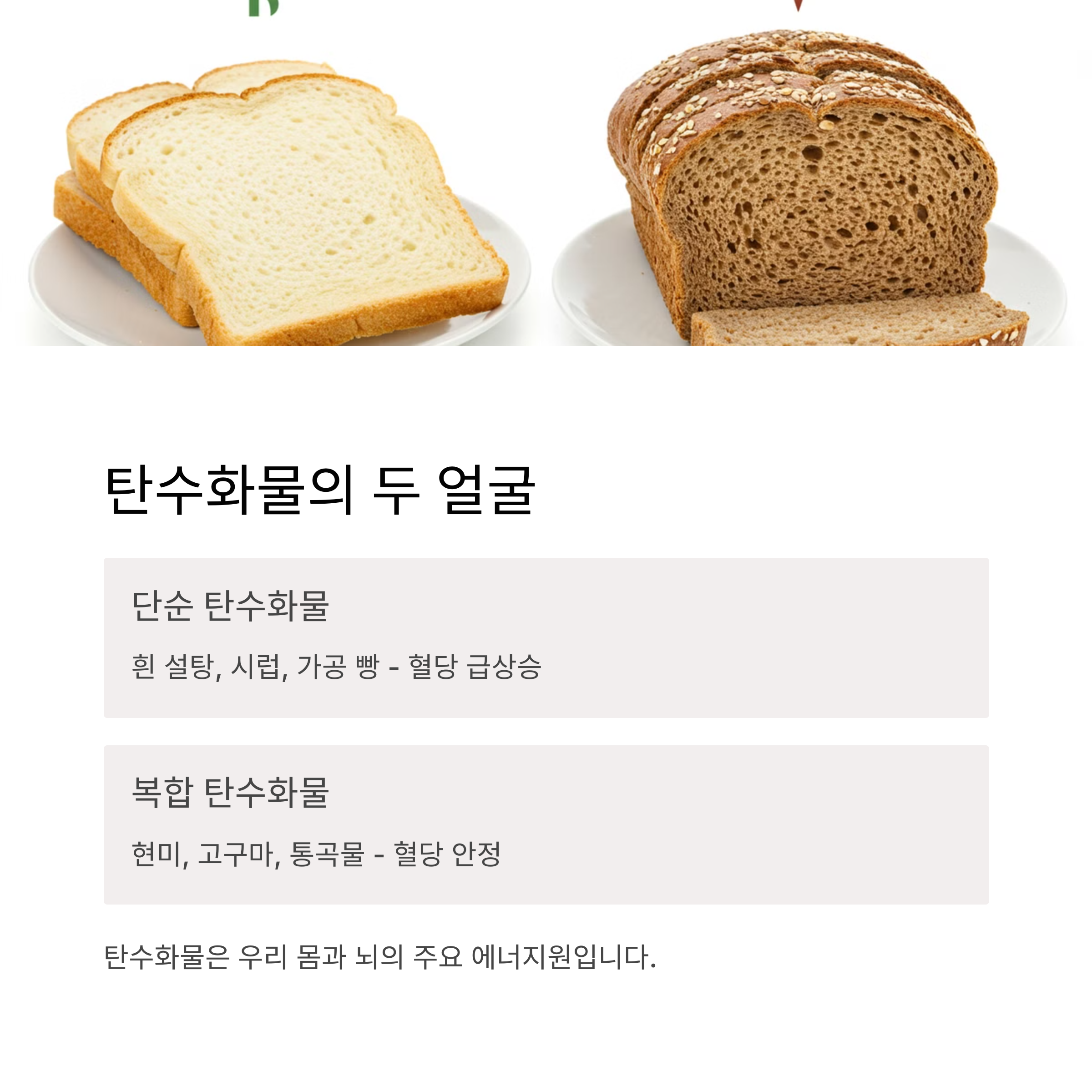 탄수화물의 두 얼굴