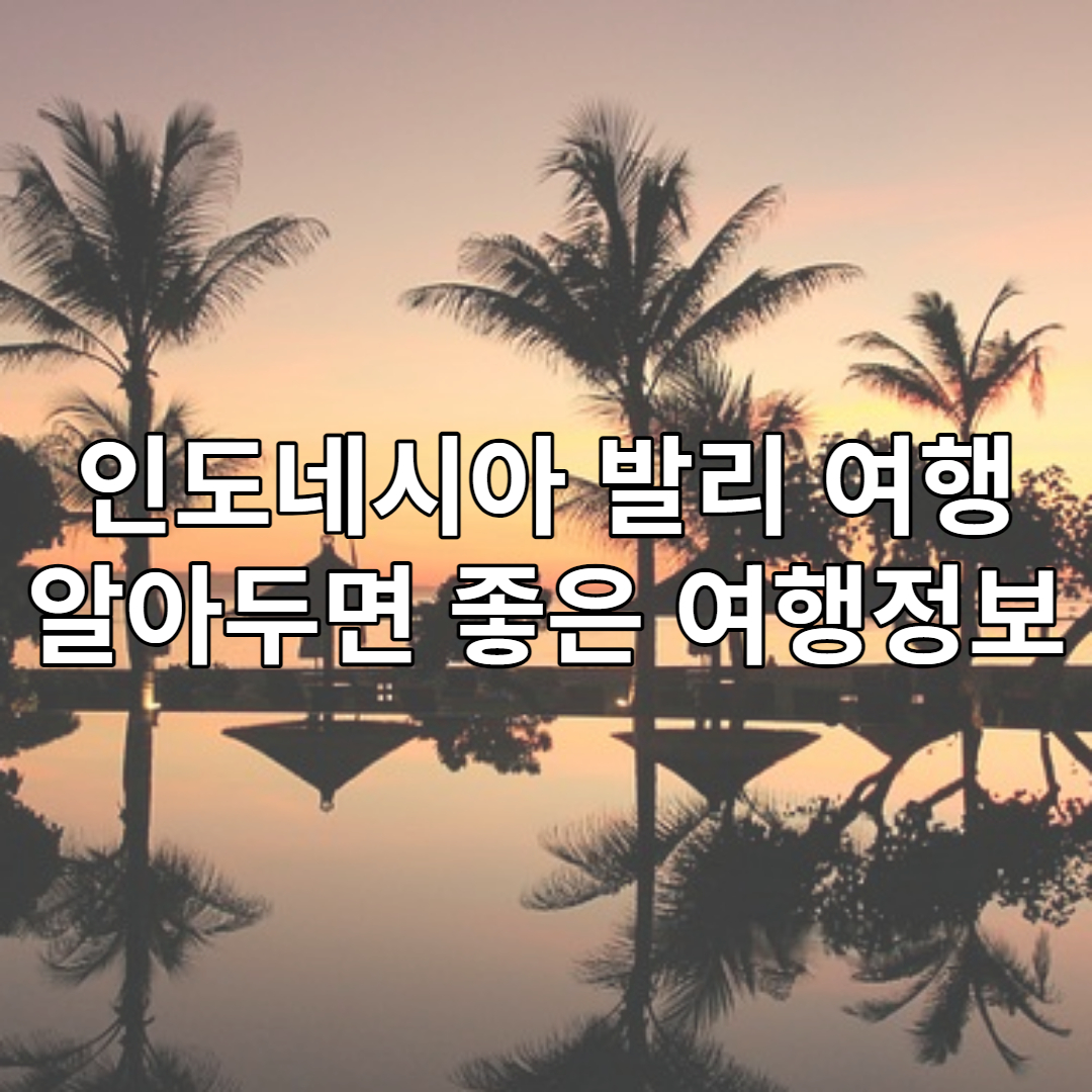 인도네시아 발리 여행 알아두면 좋은 꿀팁