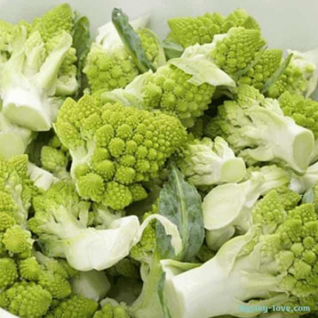 면역력 강화에 좋은 로마네스크 브로콜리