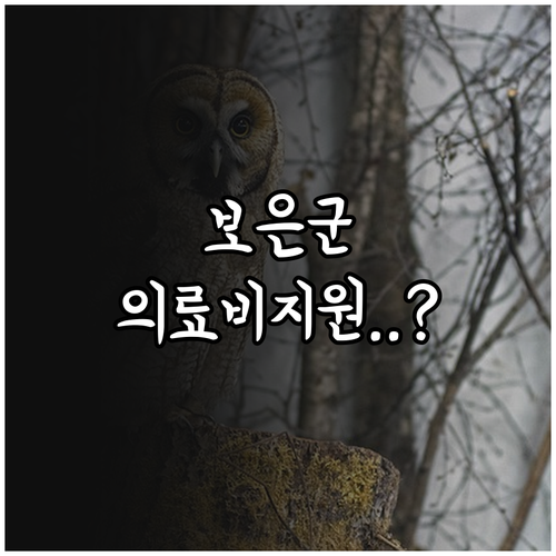 보은군 반려동물 의료비 지원 신청 서..