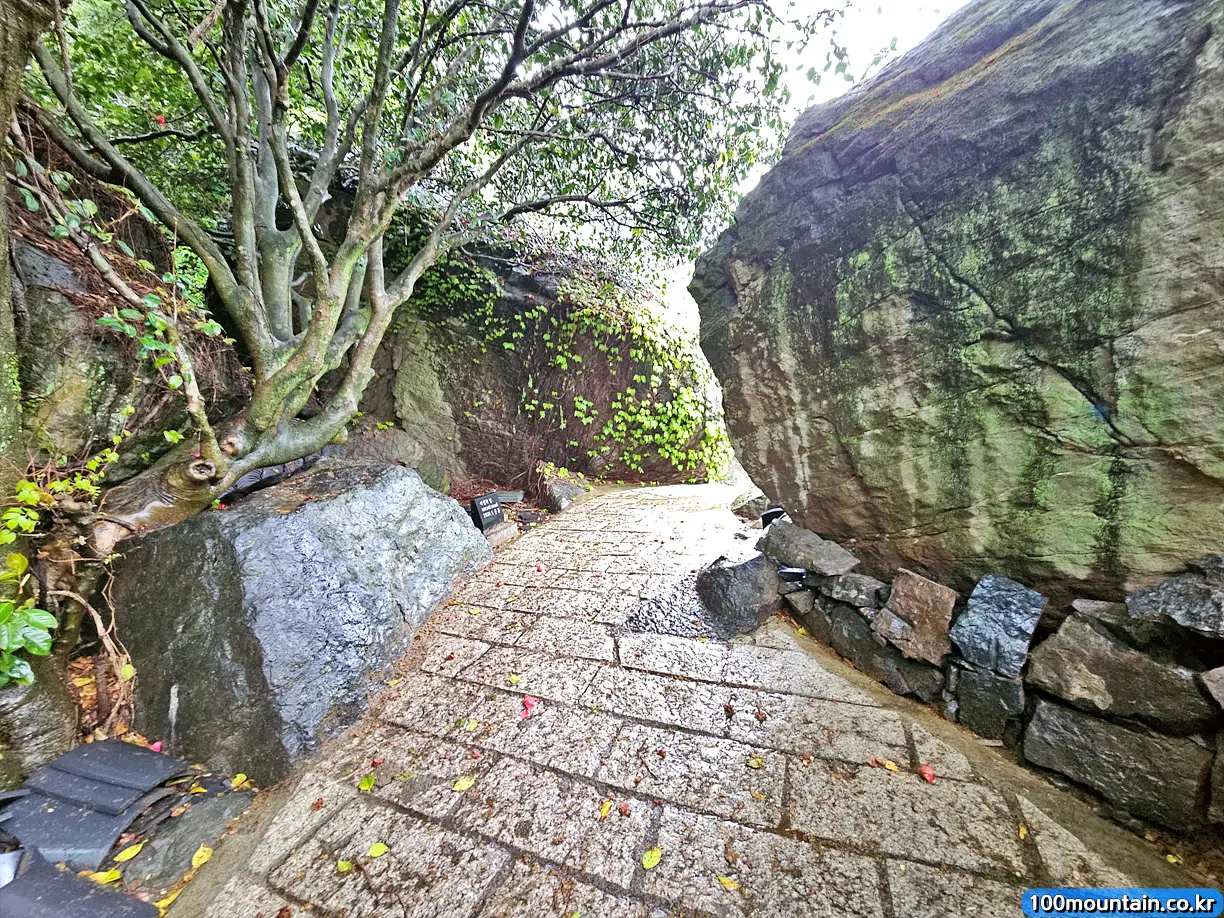비밀의 길