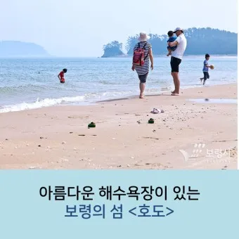 대천 호도 배편 배시간표 예매 요금 예약_20