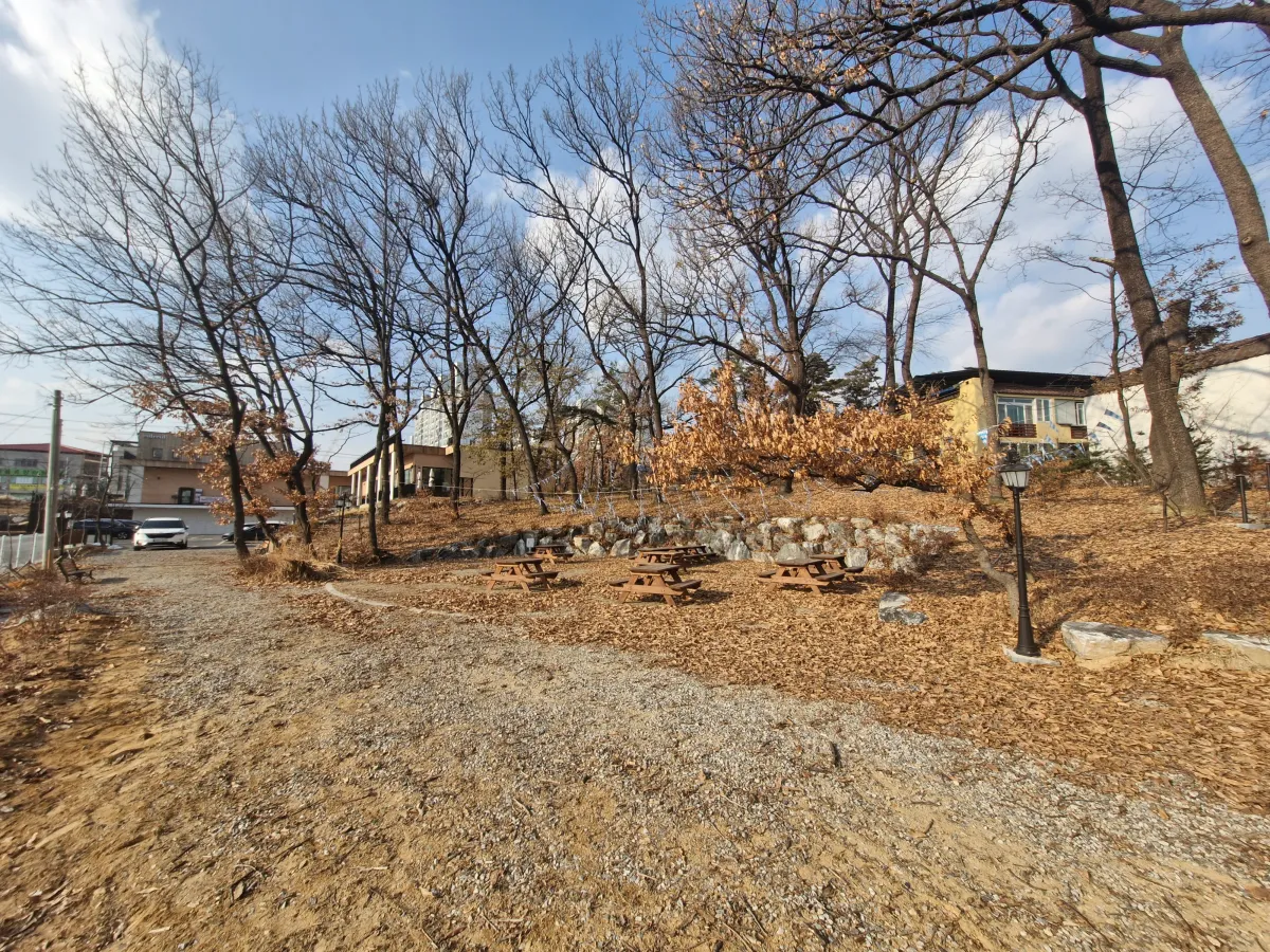 가을날씨-휑한-산책길의-모습