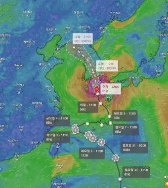 태풍 경로 실시간 예보 대비 요령 시니어 안전 가이드_12