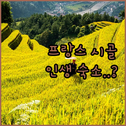 프랑스 시골 정취를 느낄 수 있는 뇌..