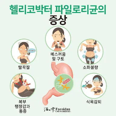 헬리코박터 파일로리 증상