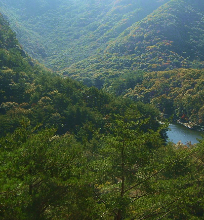 [어린이날, 5월 연휴 추천]제12회 부안마실축제❘기간, 일정, 프로그램, 사전예약 정보 총정리