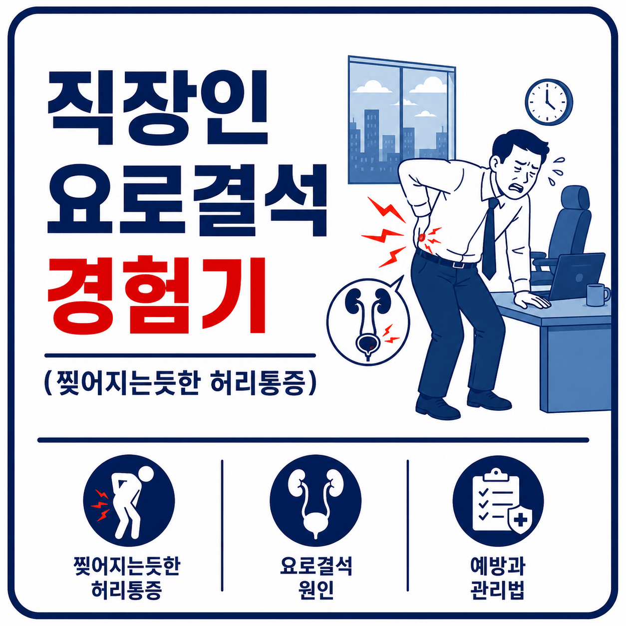 요로결석 사진