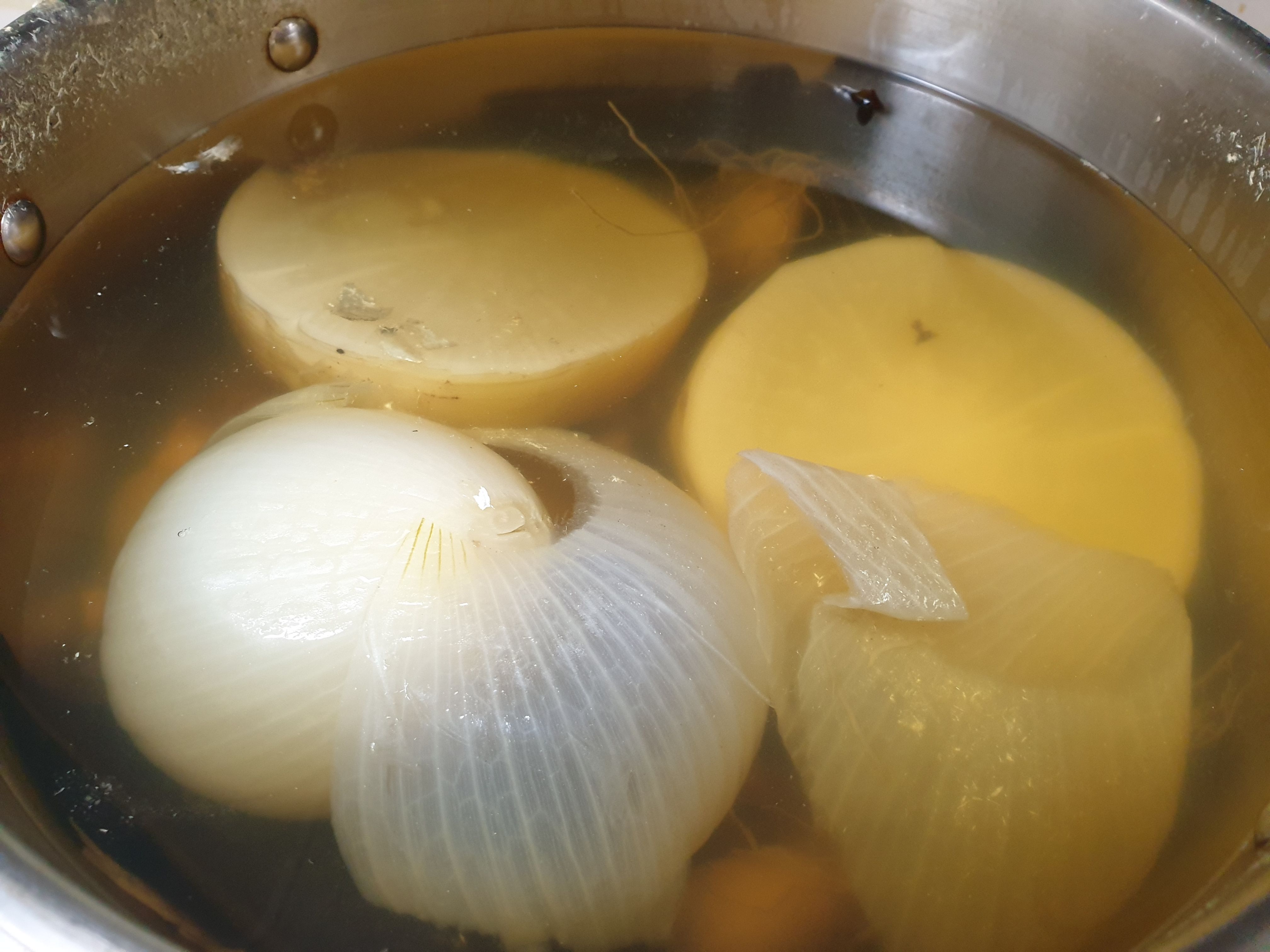 물속에 있는 무,양파