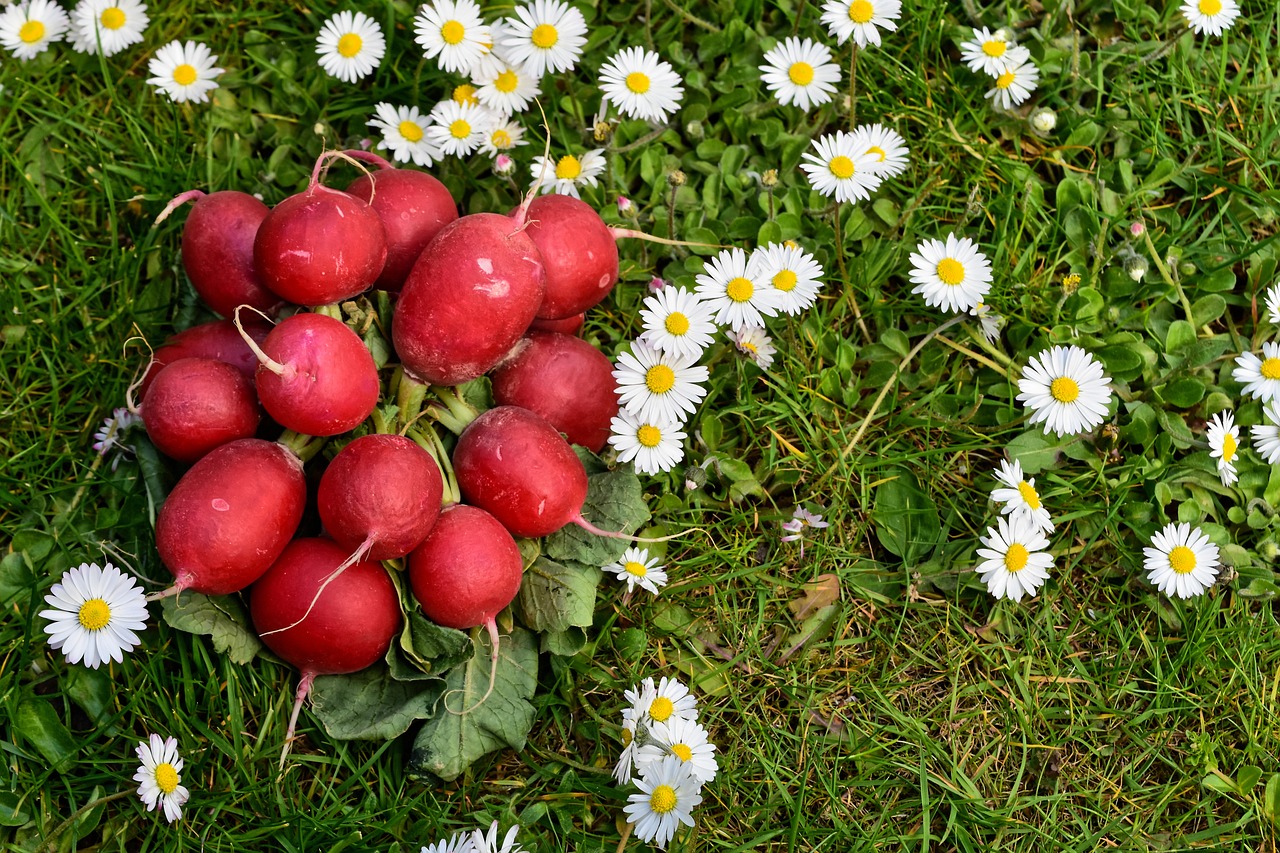 무장아찌 담그는법 황금레시피
