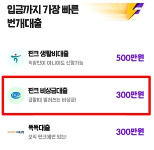 핀크 비상금대출