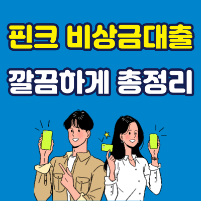 핀크 비상금대출