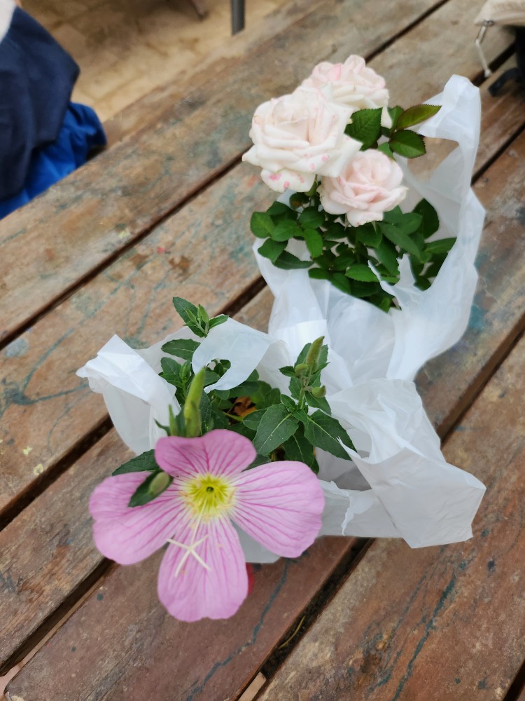 꽃 화분