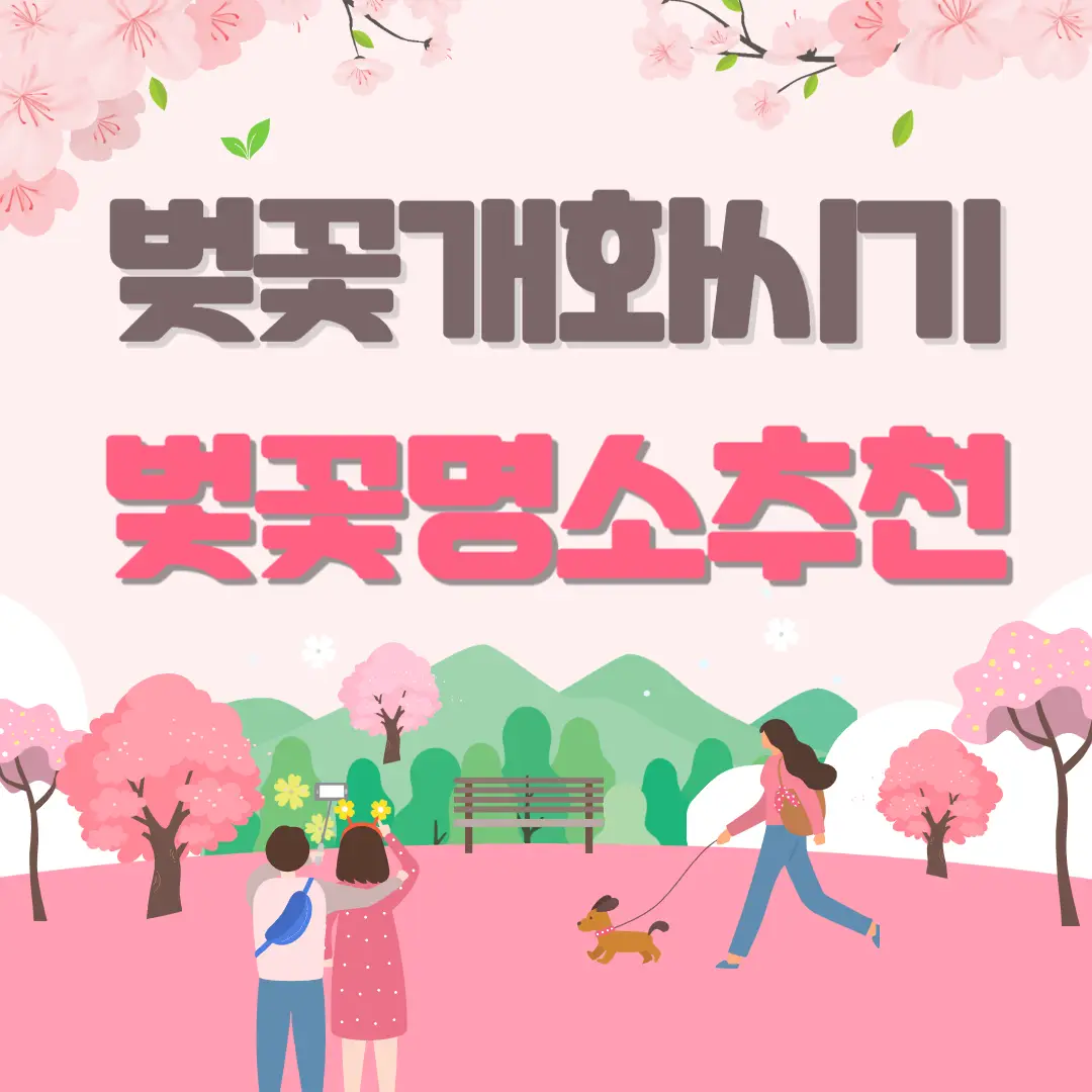 2024-벚꽃-개화-시기