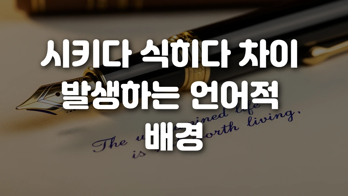 시키다 식히다 차이 발생하는 언어적 배경