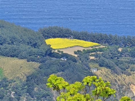 울릉도 여행 경비