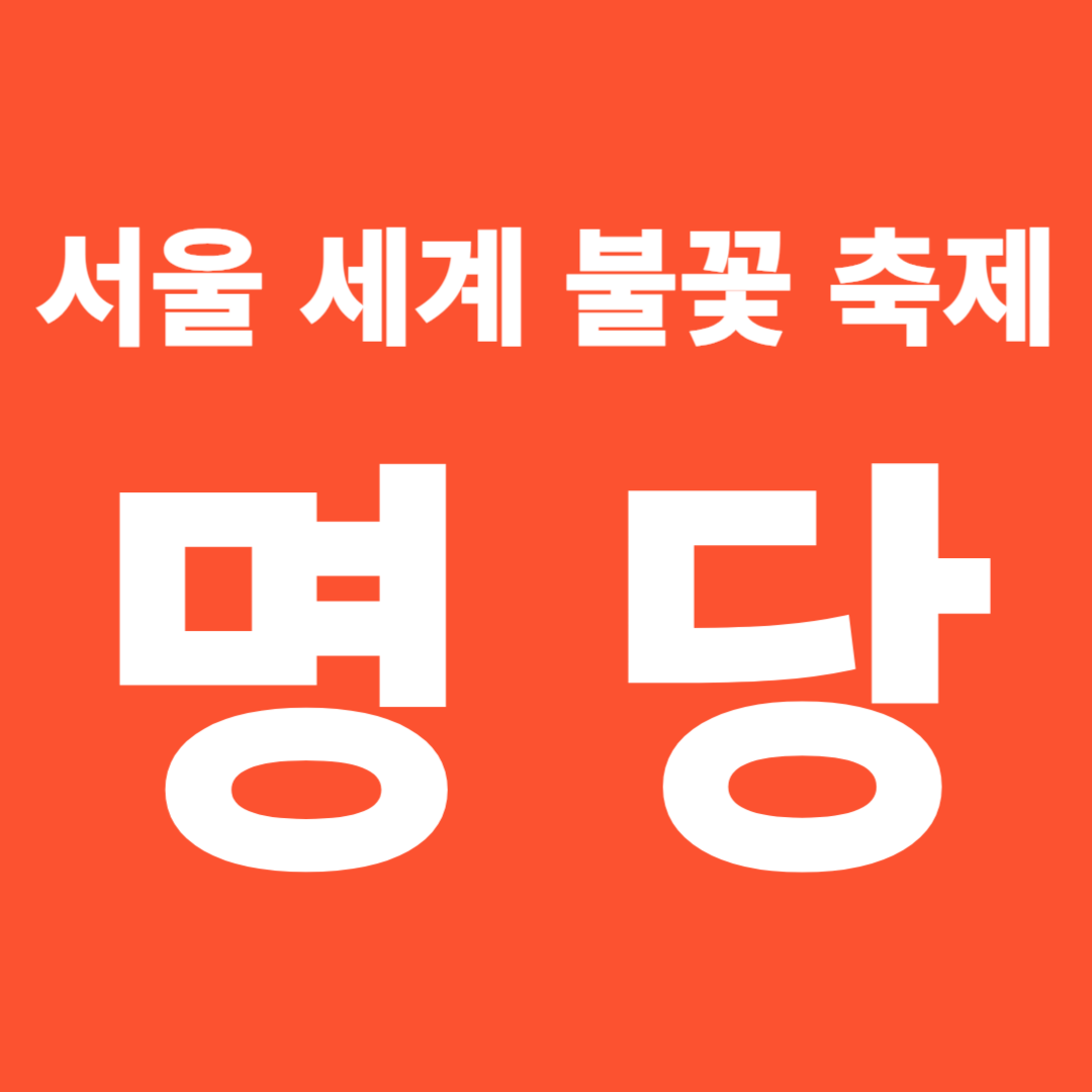 불꽃 축제 명당