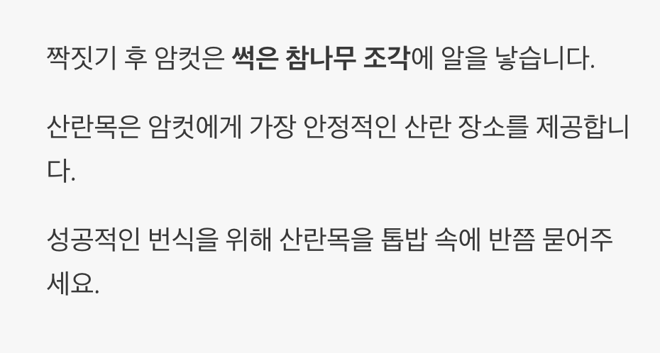 2세의 탄생, '산란목'의 비밀