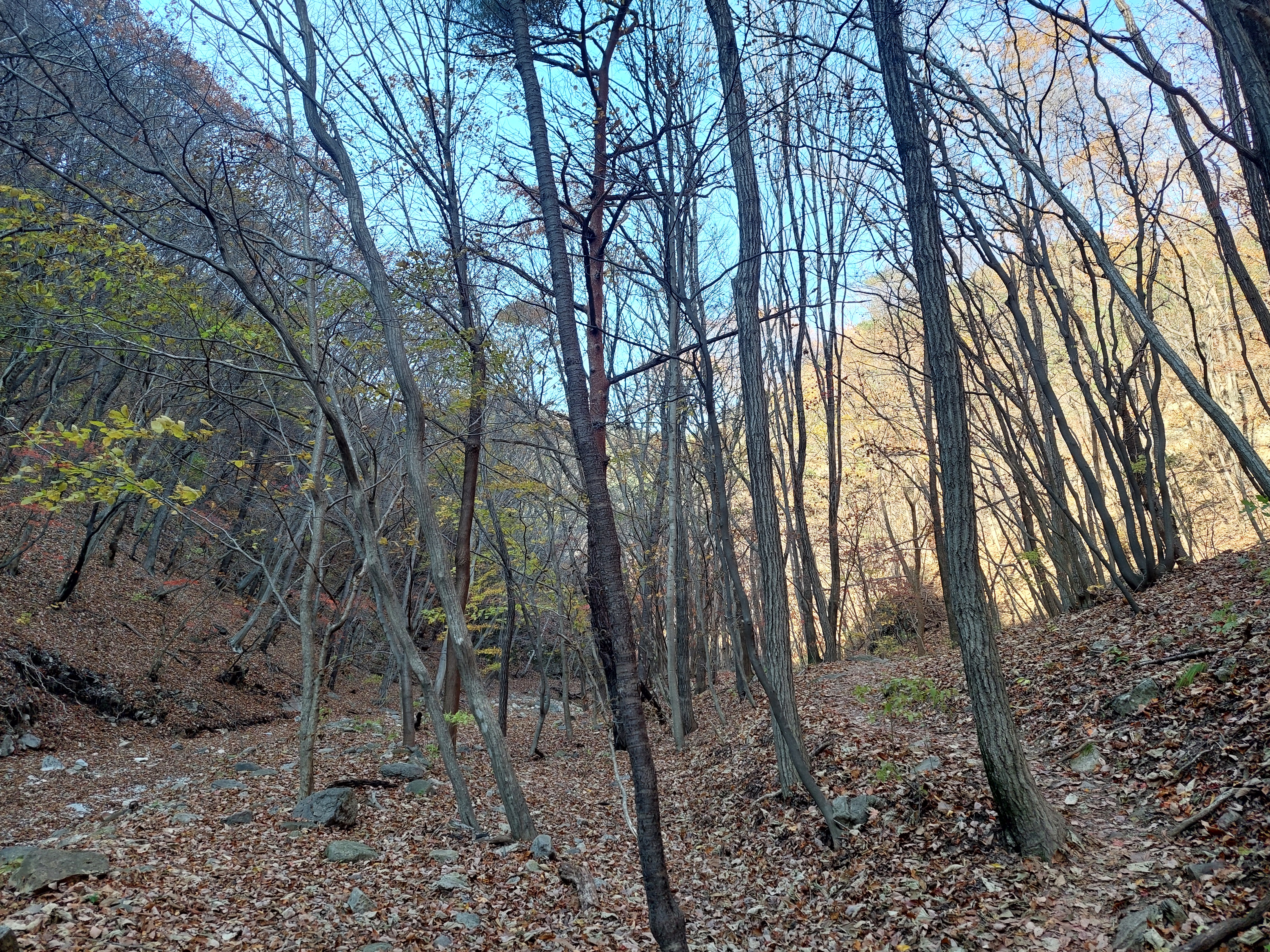 주왕산