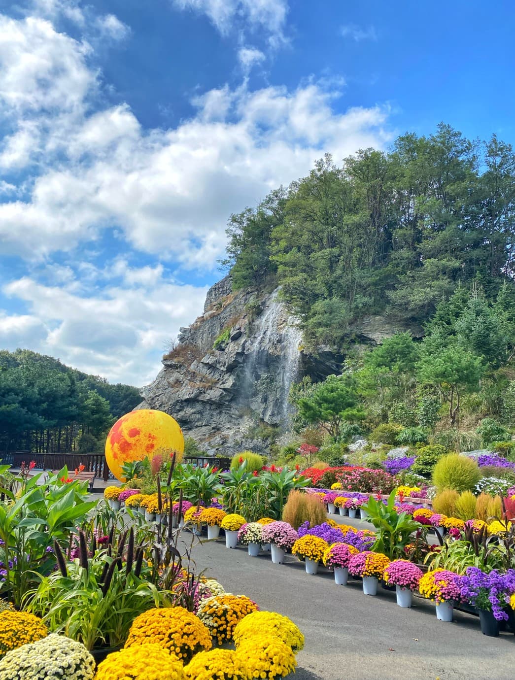 🌷 2025 피나클랜드 완벽 가이드