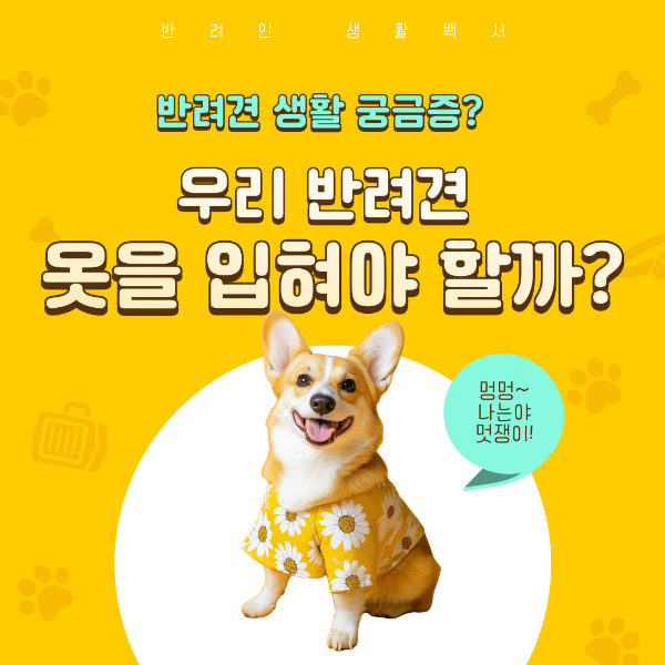 반려견 옷