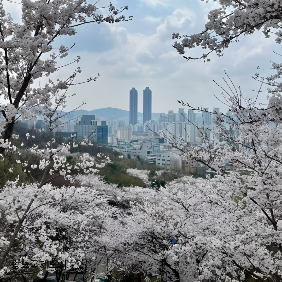 벚꽃명소