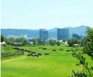 노을캠핑장 이용시 꿀팁