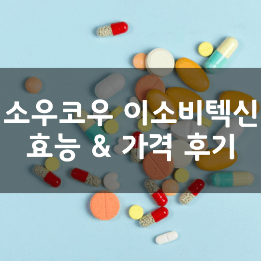 소우코우-이소비텍신-일본-다이어트-효능-성분-부작용-복용법-가격-내돈내산-후기-총정리