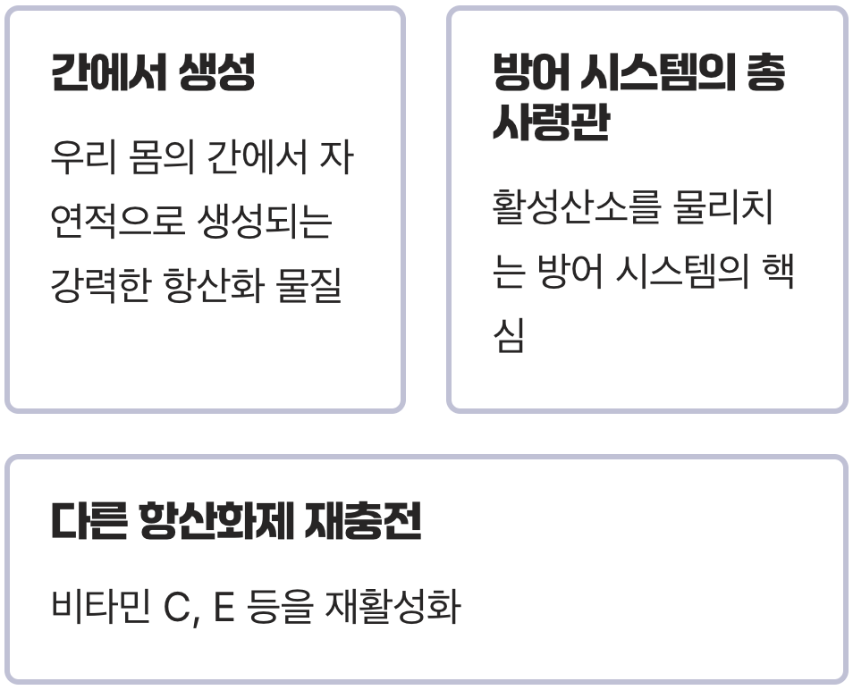 항산화의 왕, '글루타치온'의 진짜 임무