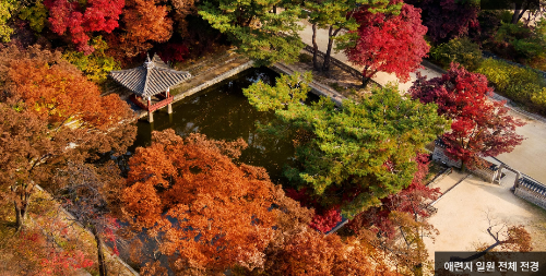 창덕궁후원 애련지