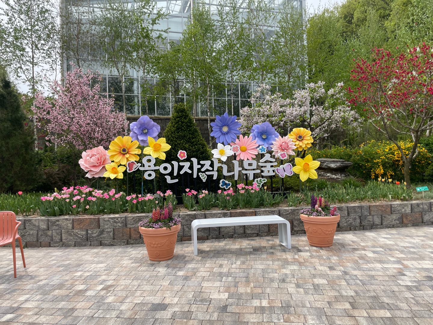 용인 자작나무숲 베툴라 대형 베이커피 카페