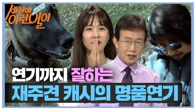 전 세계에서 가장 비싼 강아지 TOP20 몸값 높은 명품견 총정리 안내_3