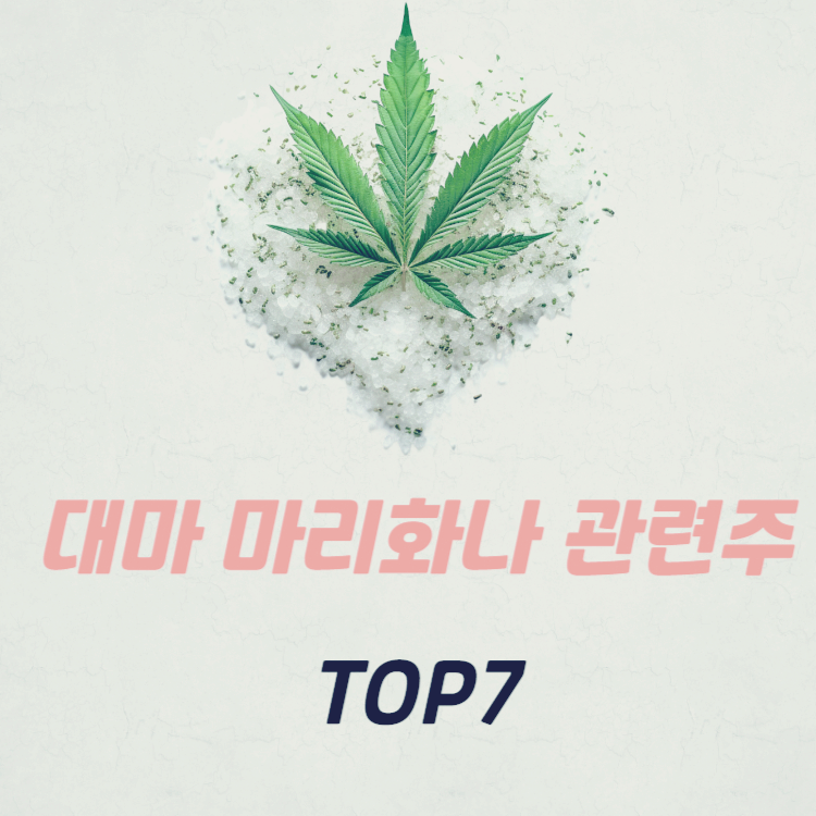 대마 마리화나 관련주 TOP7