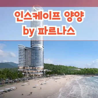 양양 낙산 해수욕장 물놀이 팁과 서핑스팟 정리_17