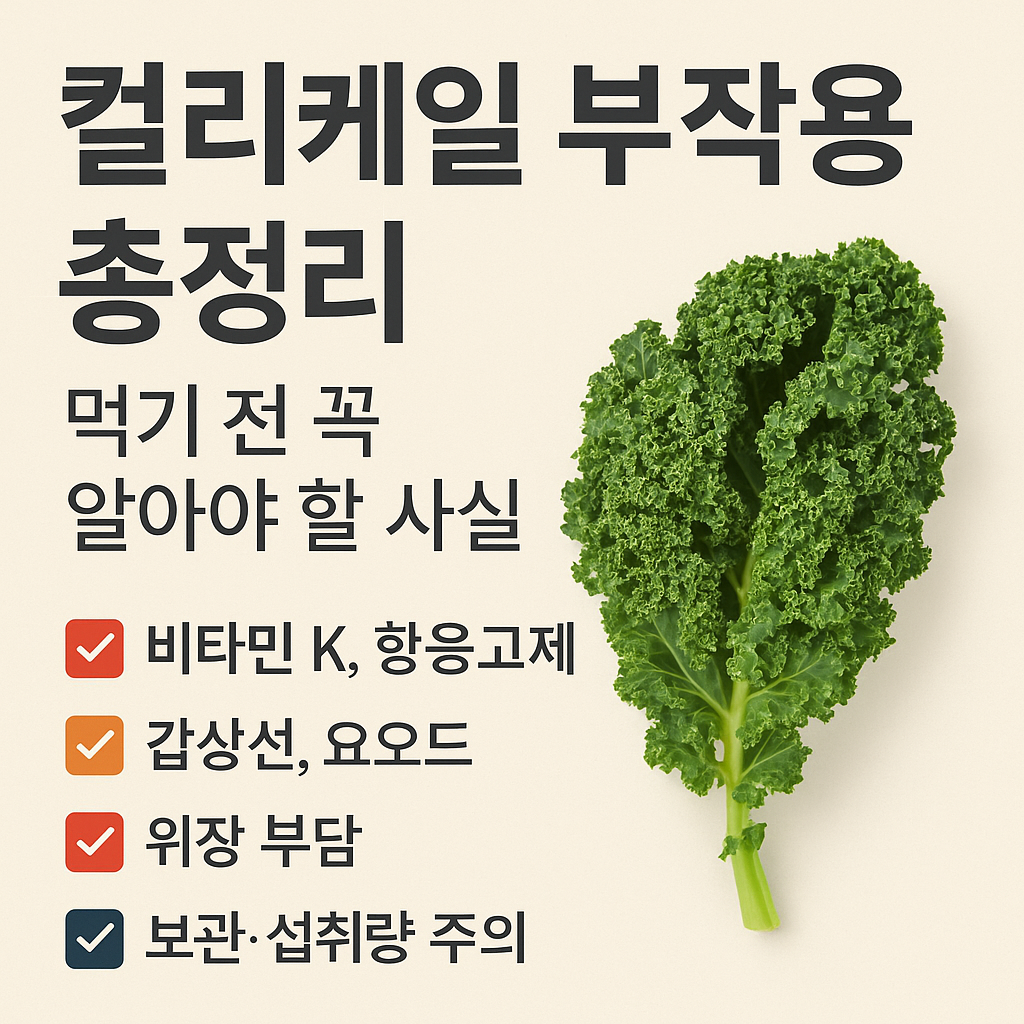 컬리케일 부작용 총정리