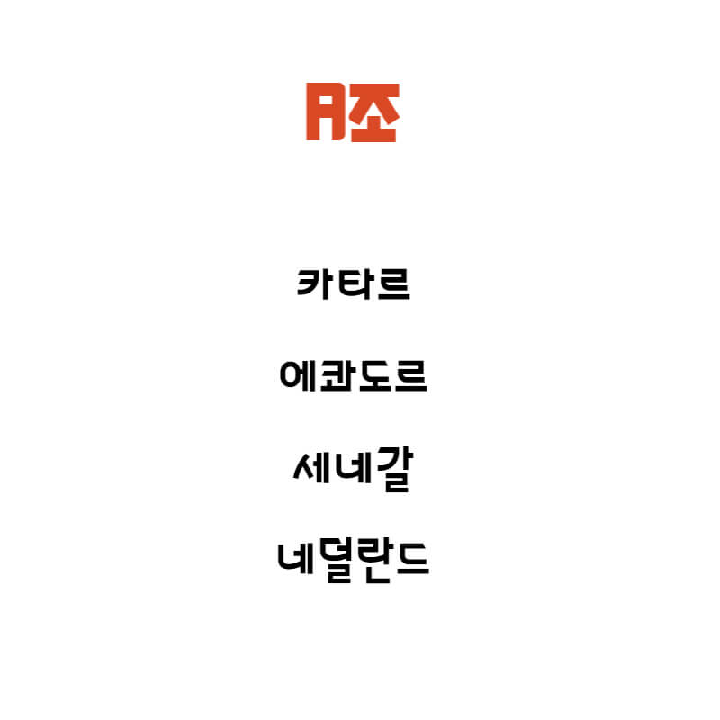 카타르 월드컵 일정