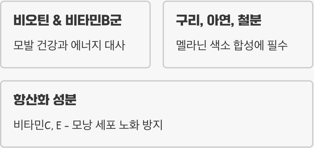 어떤 성분을 확인해야 할까?